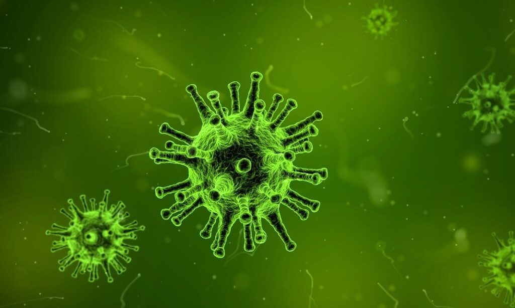 computer virus infection