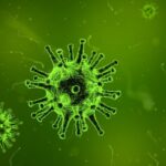 computer virus infection