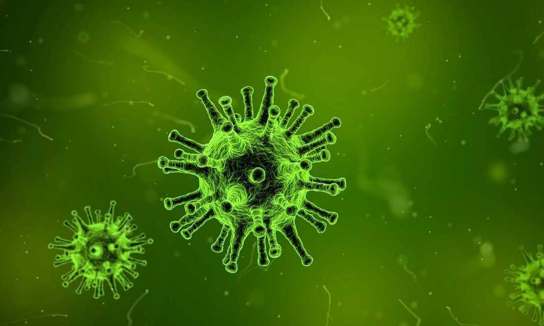 computer virus infection